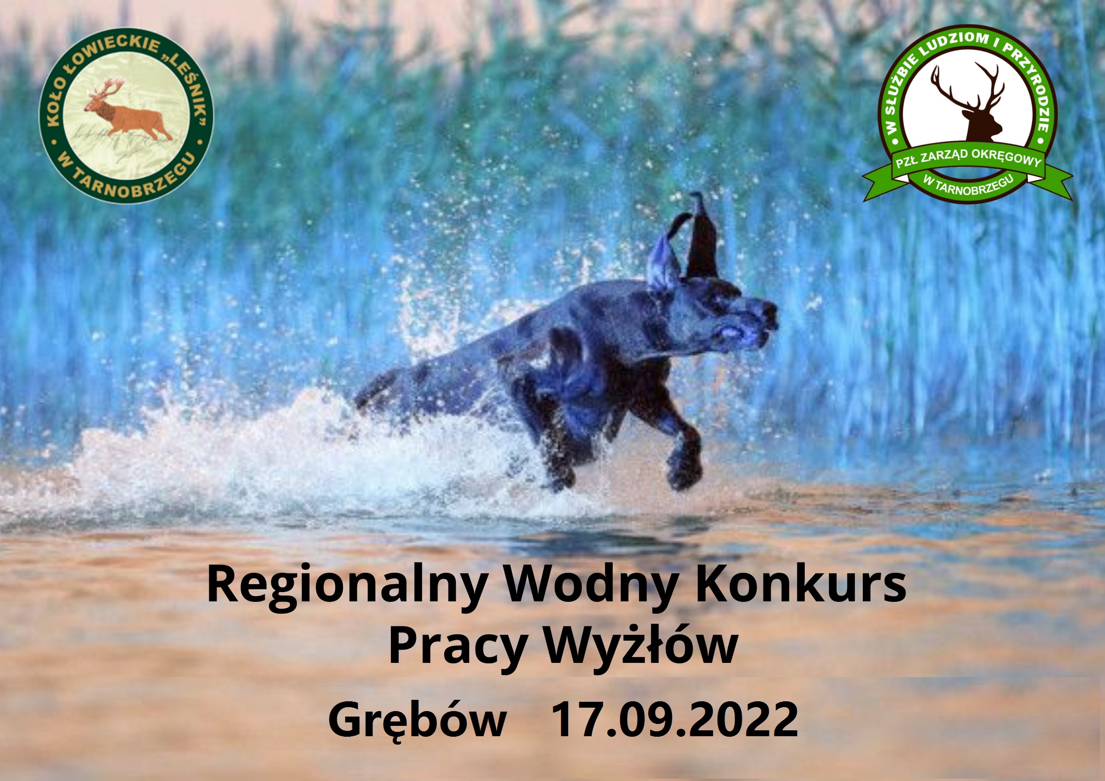 Regionalny Wodny Konkurs Pracy Wyżłów Grębów, 17 września 2022r.